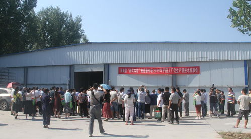 河南省“四優四化”科技支撐行動計劃食用菌專項平菇、雙孢蘑菇工廠化生產新技術觀摩交流會暨技術轉讓會成功召開